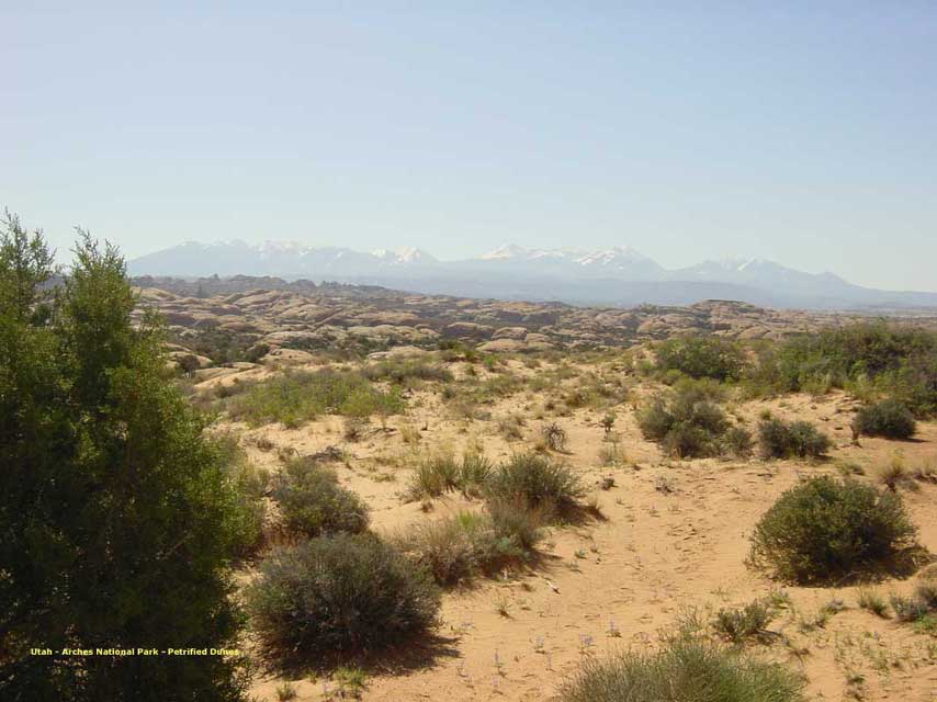 petrified dunes - dunes petrifies